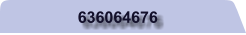 636064676